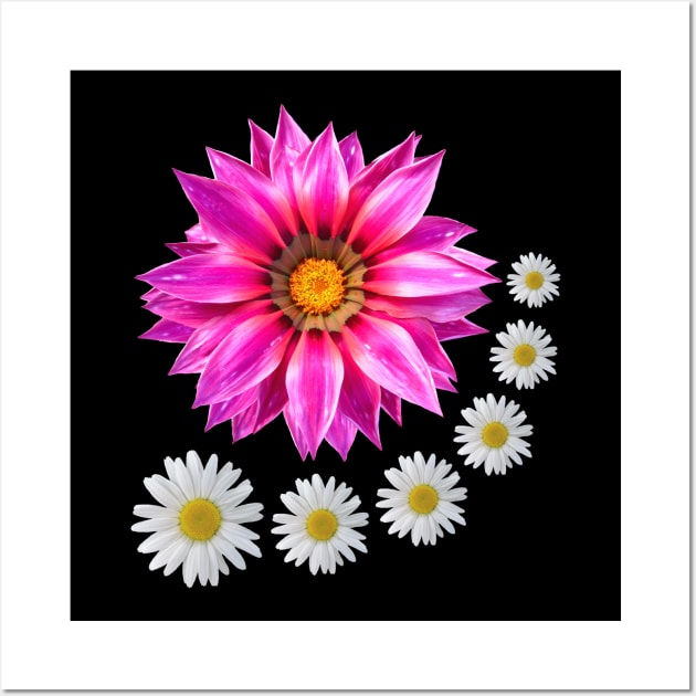 Gazania Daisies flower Daisy Gazania blossom bloom Wall Art by rh_naturestyles